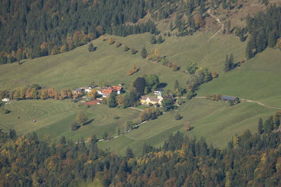 High angle view of trees and houses on field