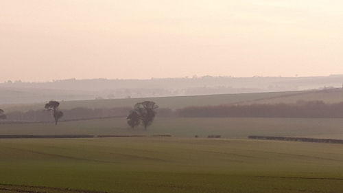 Scenic view of field against sky during sunset