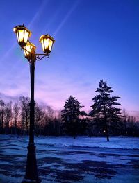 Trees and illuminated street light during winter at night