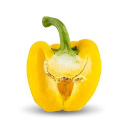 Close-up of yellow bell pepper against white background