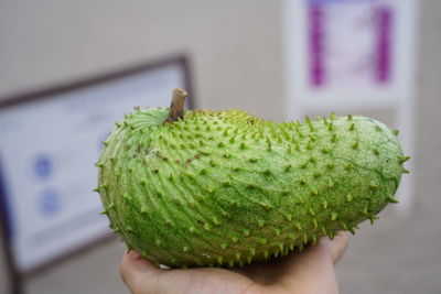 Close-up of hand holding fruit