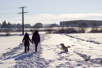 Dog standing on snow covered landscape