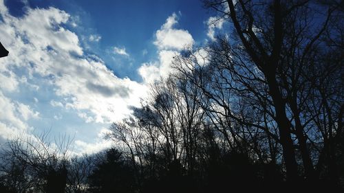 Low angle view of bare trees against sky