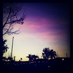 Low angle view of silhouette trees against sky at sunset