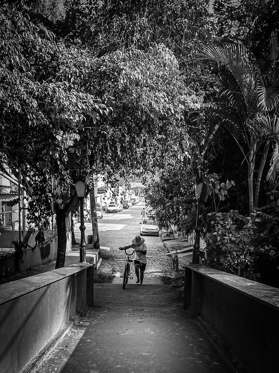 REAR VIEW OF MAN WALKING ON FOOTPATH