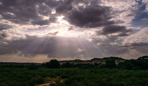 Scenic view of field against sky during sunset