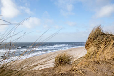 Scenic view of beach against sky