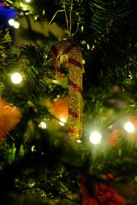 Close-up of illuminated christmas tree at night