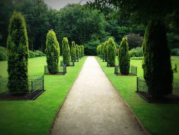 Footpath amidst trees in park