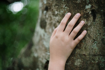 Close-up of hand touching tree trunk