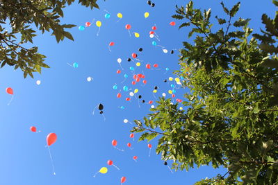 Low angle view of balloons flying against blue sky