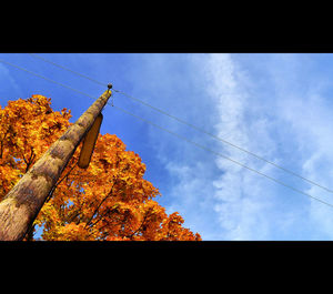 Low angle view of power lines