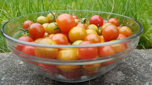 Close-up of tomatoes in a bowl