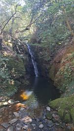 nature