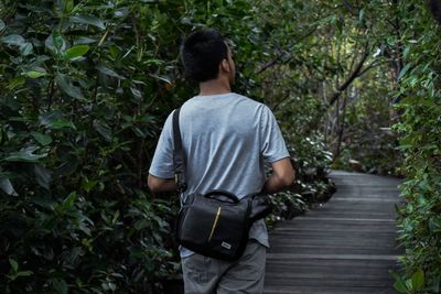 Rear view of man standing on footpath in forest