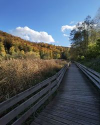 View of boardwalk amidst plants and trees against sky