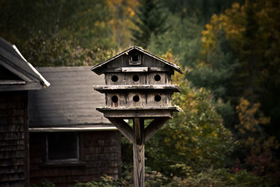 Built structure in forest