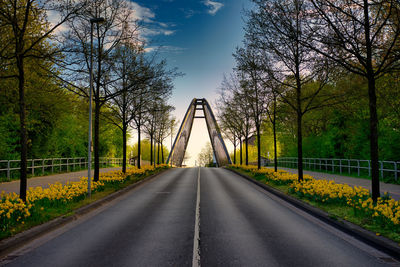 Road amidst trees against sky