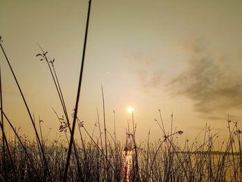 Scenic view of sky during sunset