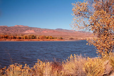Scenic view of lake against clear sky during autumn