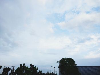 Low angle view of silhouette trees and building against sky