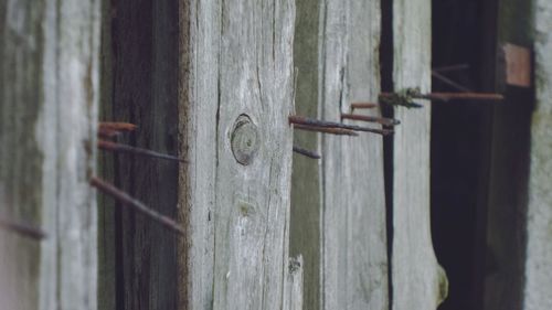 Close-up of wooden door