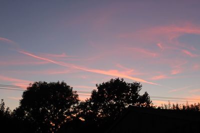 Silhouette of trees at sunset