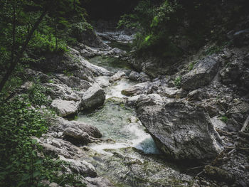 Stream flowing through rocks in forest