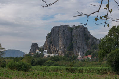 Trees on mountain against sky