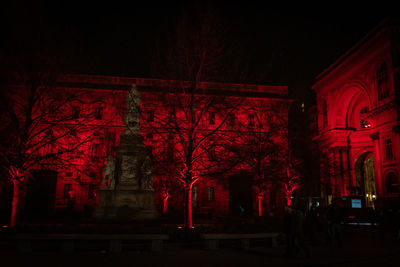 Low angle view of illuminated trees by building at night