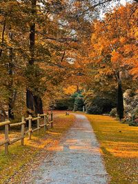 Footpath amidst trees during autumn