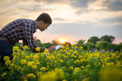 View of flowering plants on field against cloudy sky