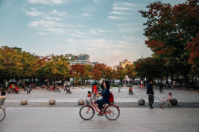 tree, bicycle, large group of people, men, lifestyles, person, leisure activity, transportation, mode of transport, building exterior, land vehicle, architecture, sky, built structure, mixed age range, city, street, travel, city life