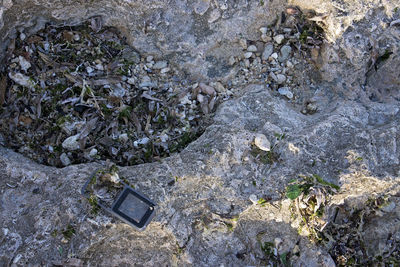 High angle view of rock formation on land