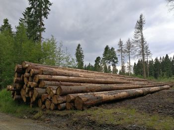 Stack of logs on landscape against sky