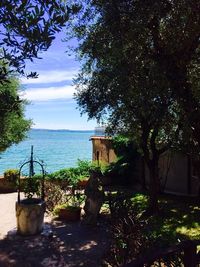 View of trees on beach