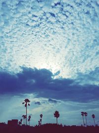 Low angle view of silhouette trees against blue sky