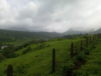 Scenic view of field against sky