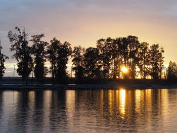 Silhouette trees by lake against sky during sunset