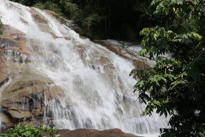 Scenic view of waterfall in forest