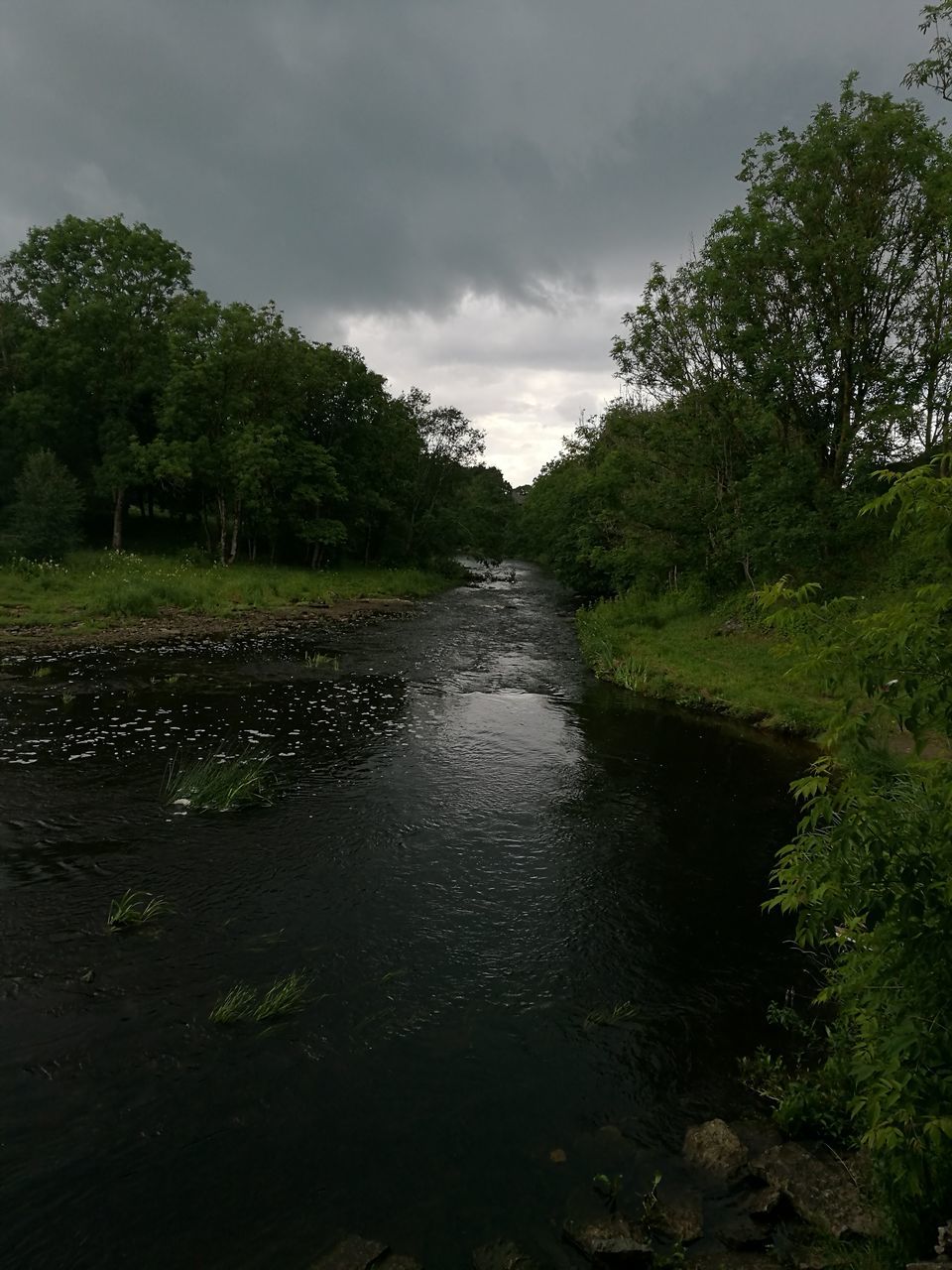 SCENIC VIEW OF TREES AGAINST CLOUDY SKY