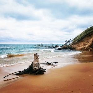 Driftwood on beach against sky