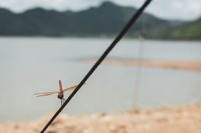 Close-up of water drop on land