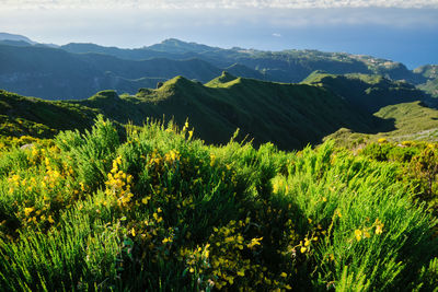 Scenic view of mountains against sky