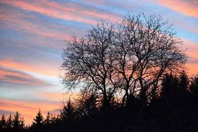 Low angle view of silhouette bare trees against sky during sunset