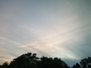 Low angle view of silhouette trees against sky