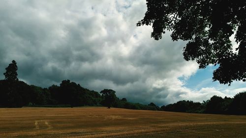 Scenic view of field against sky