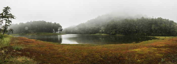 Scenic view of lake in forest against sky