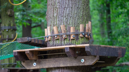 Close-up of birdhouse on tree trunk