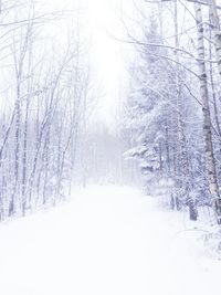 Snow covered landscape against sky